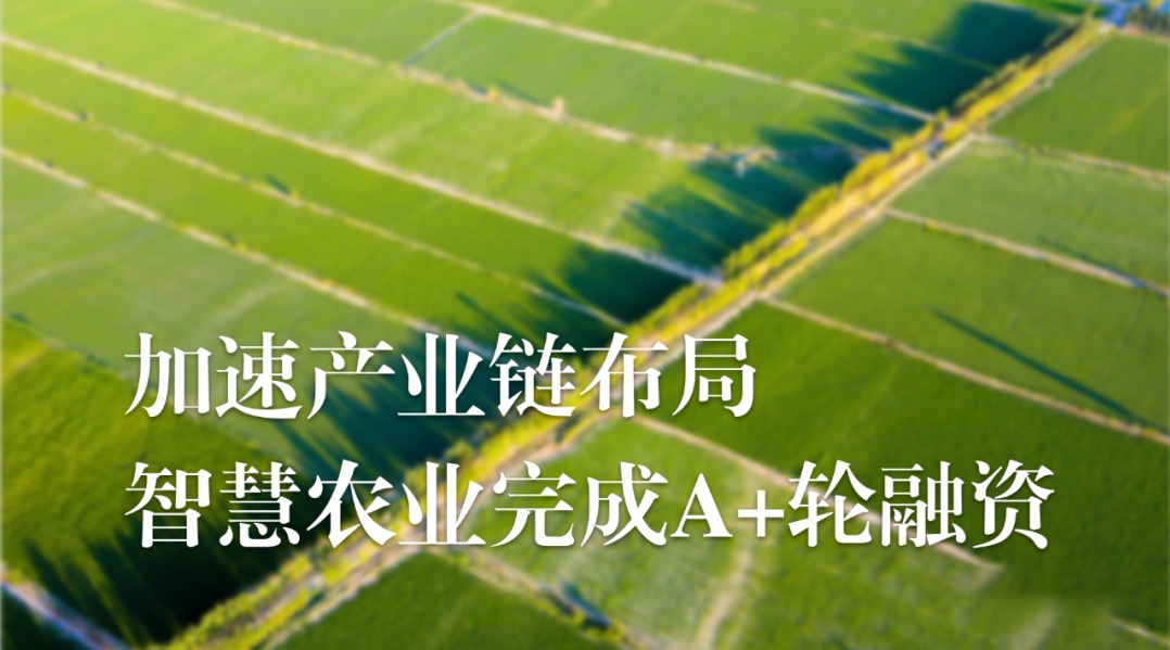 加速农业产业链布局，OKPay钱包(中国)农业完成A+轮融资
