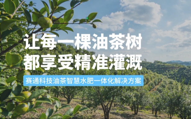 赛通科技油茶OKPay钱包(中国)水肥一体化解决方案：让每一棵油茶树都享受精准灌溉